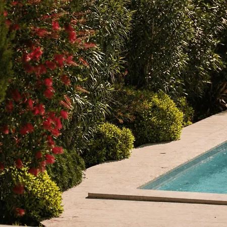 Casa Labobina Near Rovinj For 8 Persons With Private 32 M2 Heated Pool - Pet Friendly *